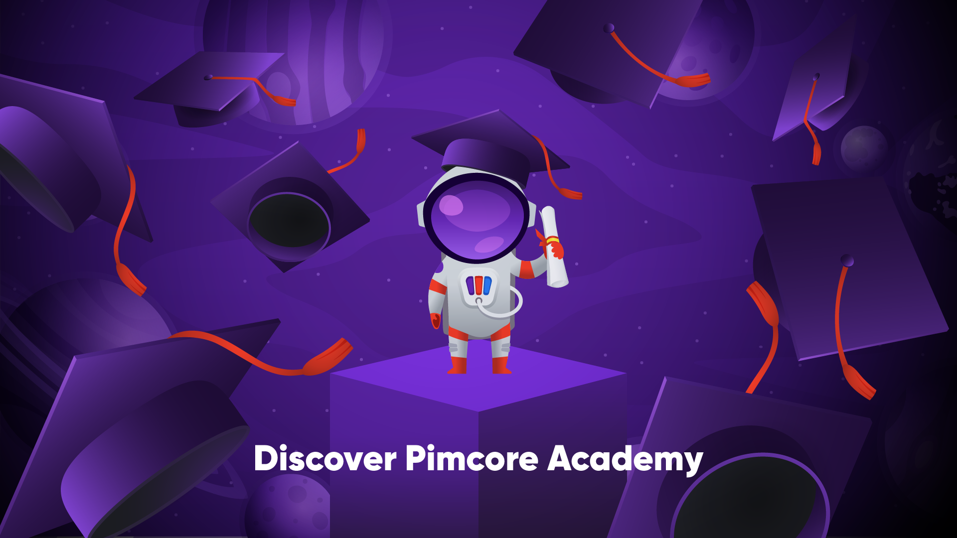Pimcore Academy's image