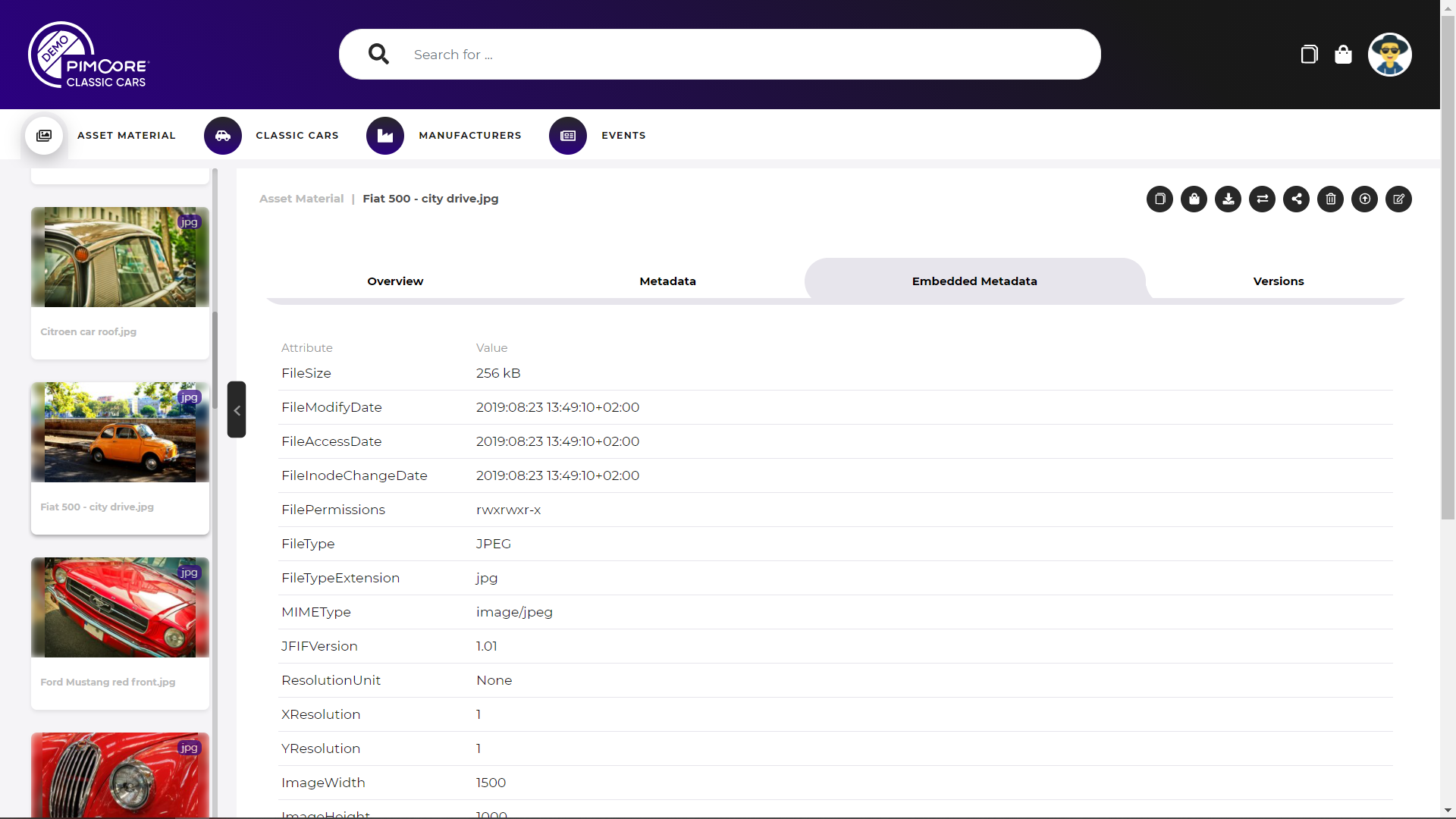 Asset Detail Embedded Metadata