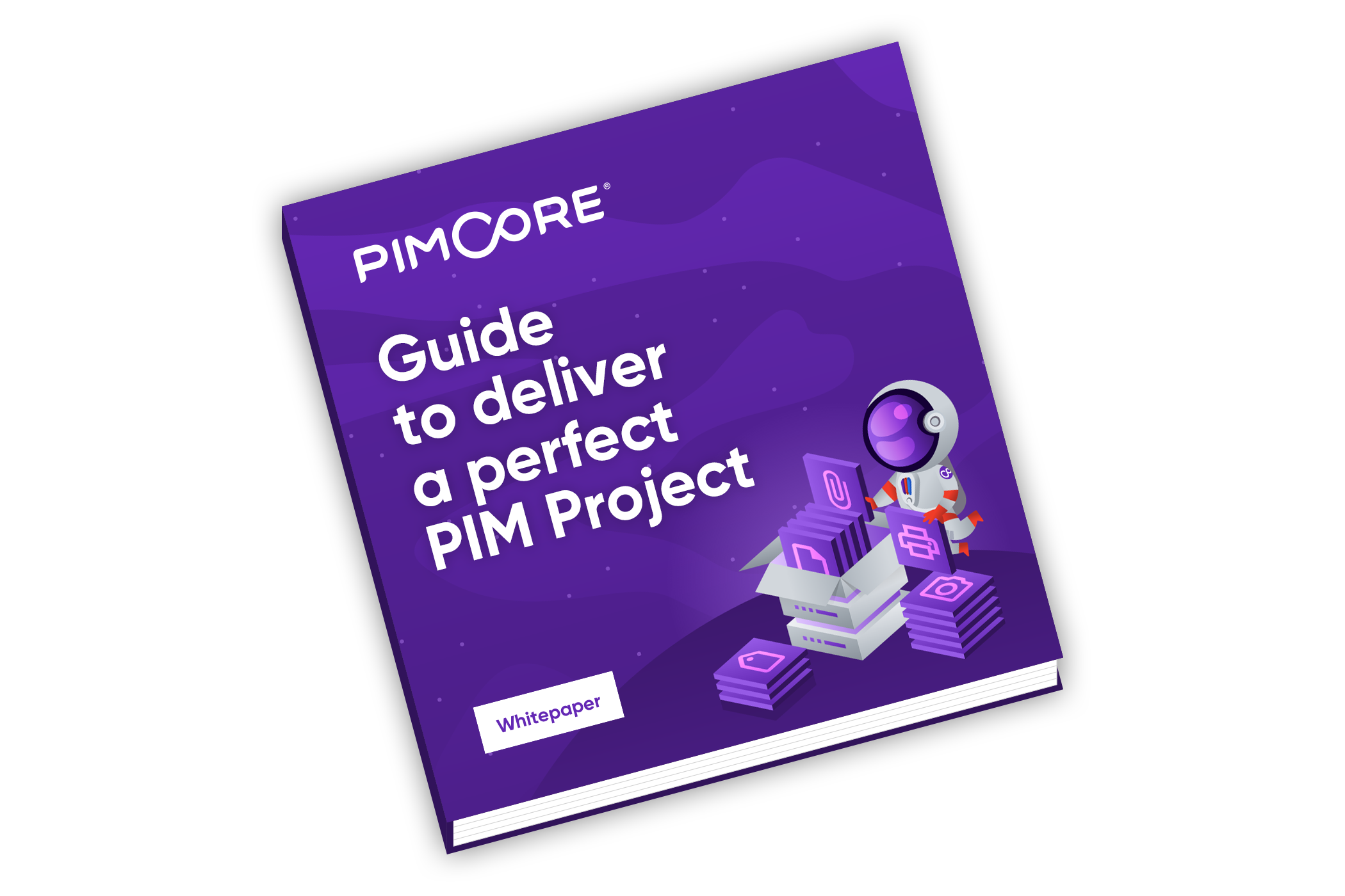 Guide to Deliver a Perfect Product Information Management Project