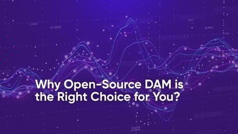 Top 5 Free and Open Source DAM Software in 2023
