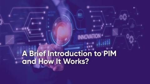 A Brief Introduction to PIM and How It Works?