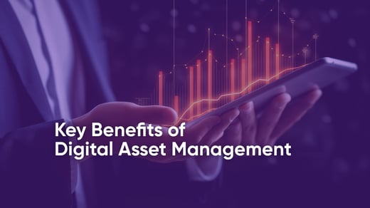 Digital Asset Management Vorteile und zukünftige Trends