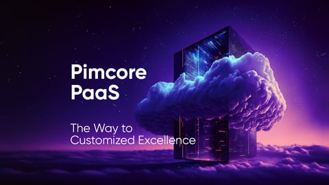 Pimcore PaaS – The Way to Customized Excellence