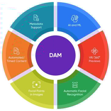 2_DAM_edited
