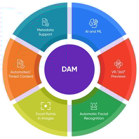2_DAM_edited