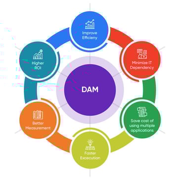 3_DAM_edited