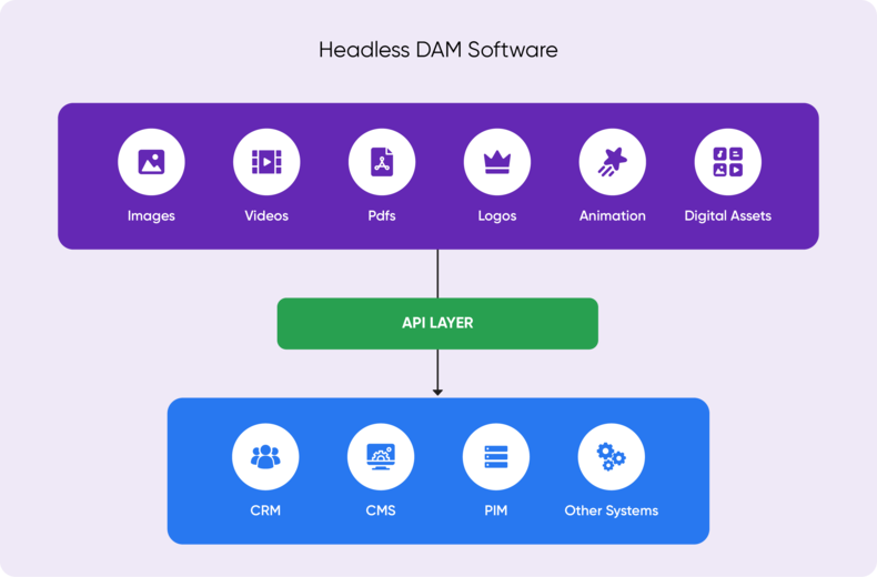 Insight_Headless DAM for Omnichannel Commerce