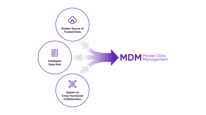 Insight_Was ist Master Data Management (MDM) Einsteigerleitfaden_v1_R2_Final-01