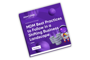 Master Data Management Implementation Styles Guide - Pimcore