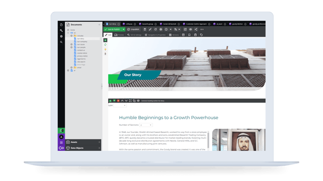 Transforming Basamh Group's Digital Presence with Pimcore