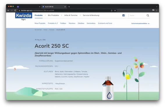 Streamlining Data Management and Website Development