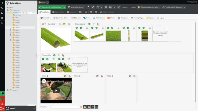 NOCH - Master Data Management in Model Landscaping