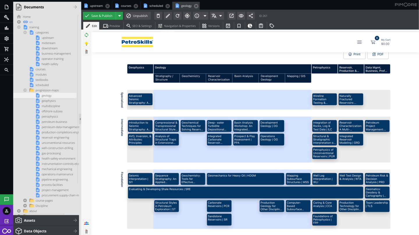 Case Study: Petroskills Pivots to Online Learning with Help from Pimcore-Impression #4.3