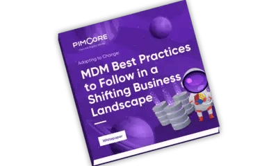 Whitepaper_Master-Data-Management-Best-Practices_Thumb