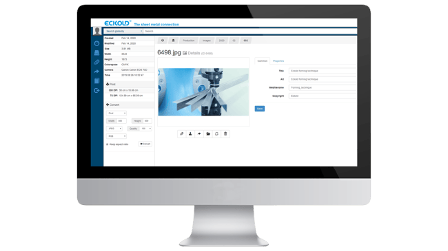 Out of the Asset Jungle: Clarity for a Technical Pioneer