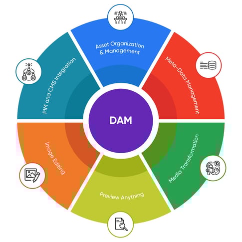 1_DAM_edited