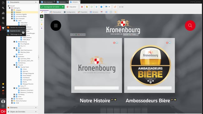 B2B Digital Sales Portfolio for the Kronenbourg Sales Force