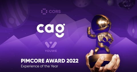 Pimcore Awards: Experience of the Year 2022