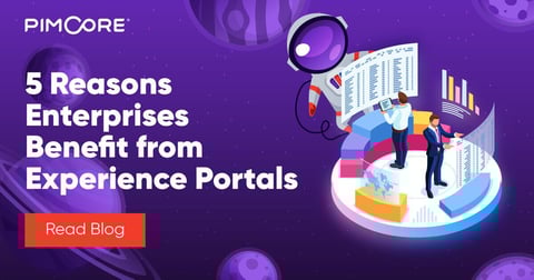 5 Reasons Enterprises Benefit from Experience Portals