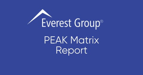 Pimcore ist im diesjährigen PEAK Matrix Bericht der Everest Group enthalten