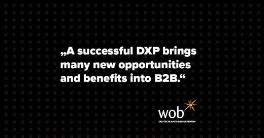 Digital Experience Platform – How B2B Websites Move into the Direction of DXP