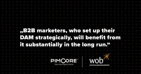 Asset Management for B2B: When the old image database is no longer enough