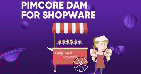 Successfully integrate Pimcore DAM management into Shopware 6