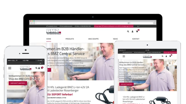 B2B eCommerce Portal for Europe's Leading Battery Manufacturer