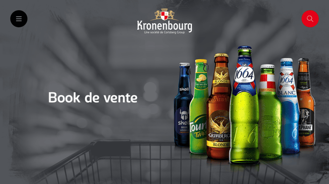 B2B Digital Sales Portfolio for the Kronenbourg Sales Force