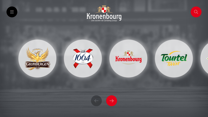 B2B Digital Sales Portfolio for the Kronenbourg Sales Force
