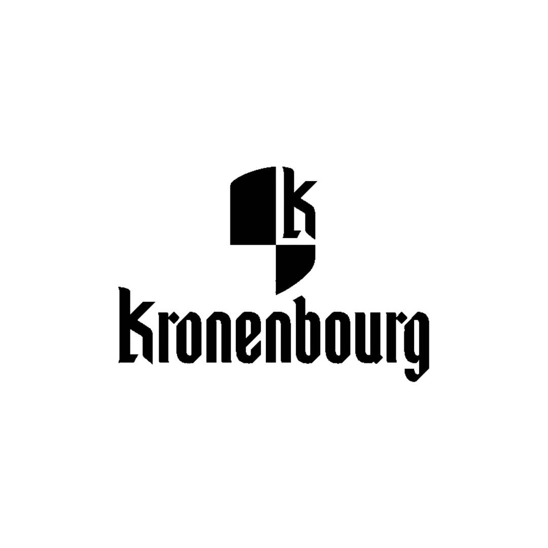 B2B Digital Sales Portfolio for the Kronenbourg Sales Force