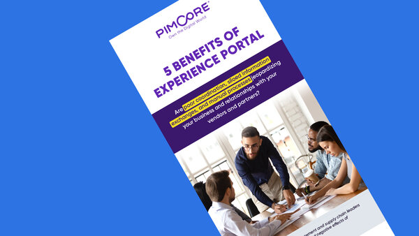 Top 5 Benefits of Experience Portal for Enterprises