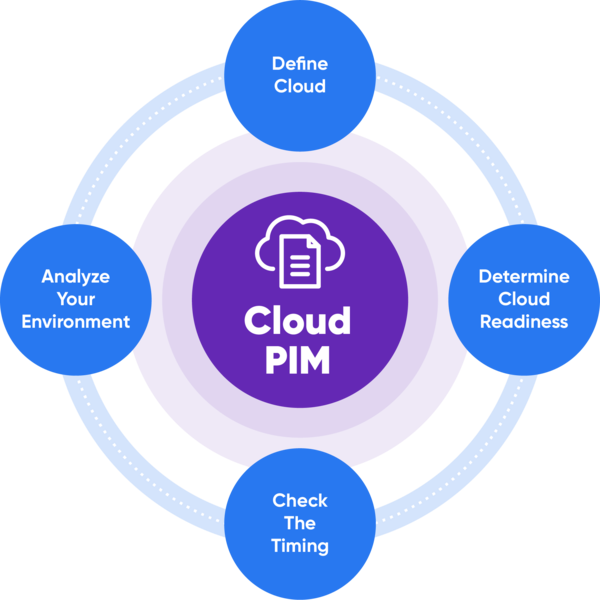 Cloud PIM System